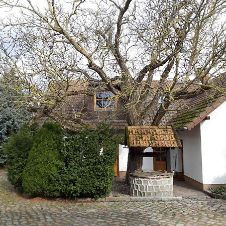 Ein Bett Im Kornfeld - Haus Weitblick - Mit Innenpool Schonfeld  Bagian luar foto