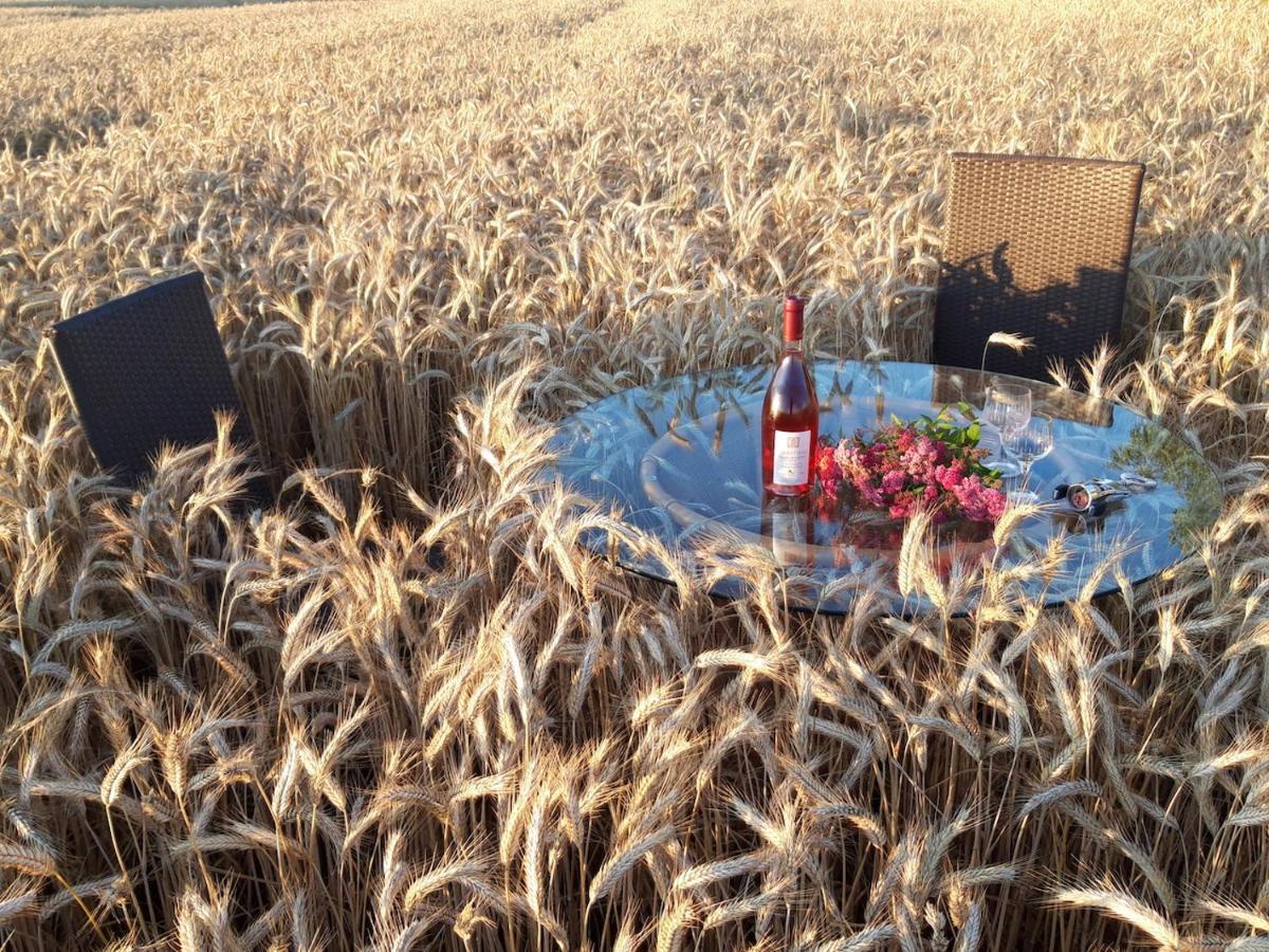 Ein Bett Im Kornfeld - Haus Weitblick - Mit Innenpool Schonfeld  Bagian luar foto
