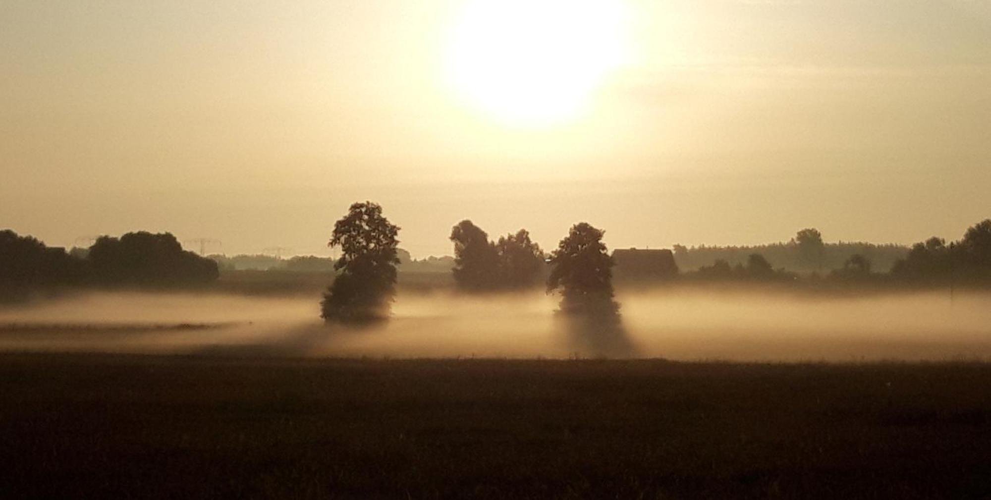 Ein Bett Im Kornfeld - Haus Weitblick - Mit Innenpool Schonfeld  Bagian luar foto